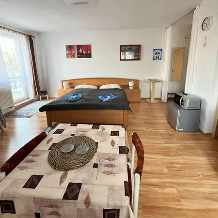 Juvenis Apartment Trebic Exterior photo