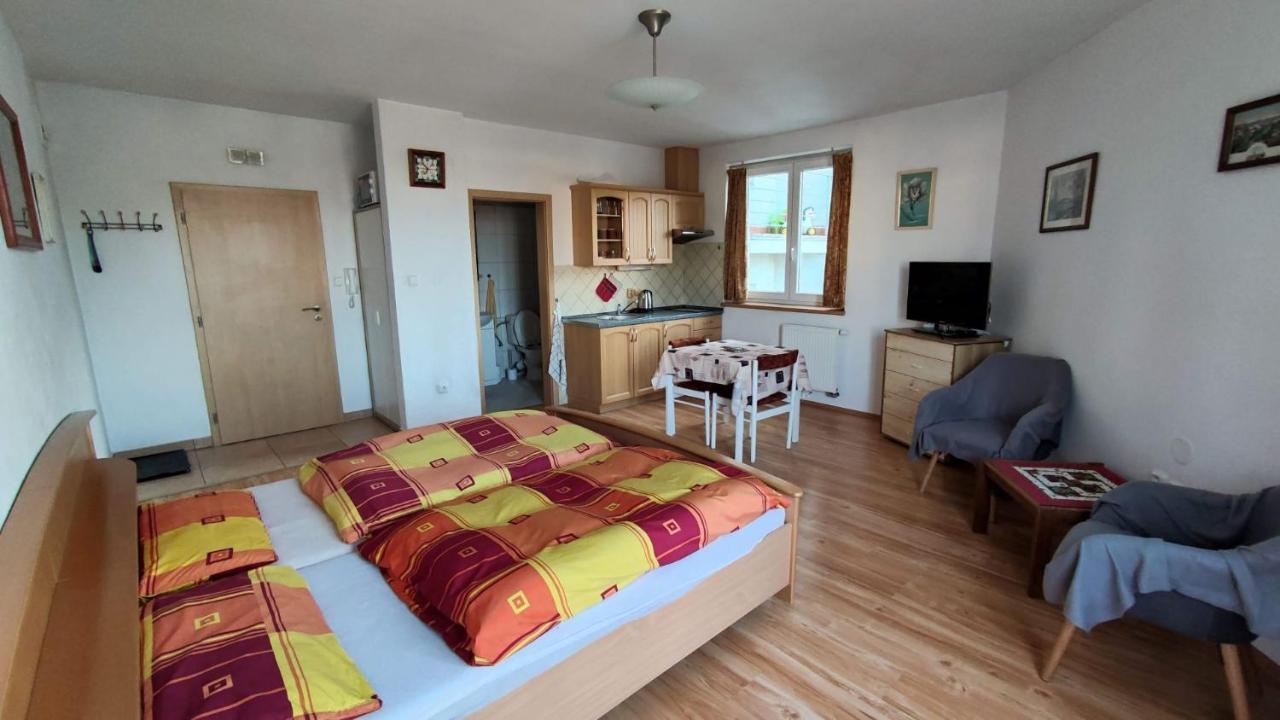 Apartment Juvenis