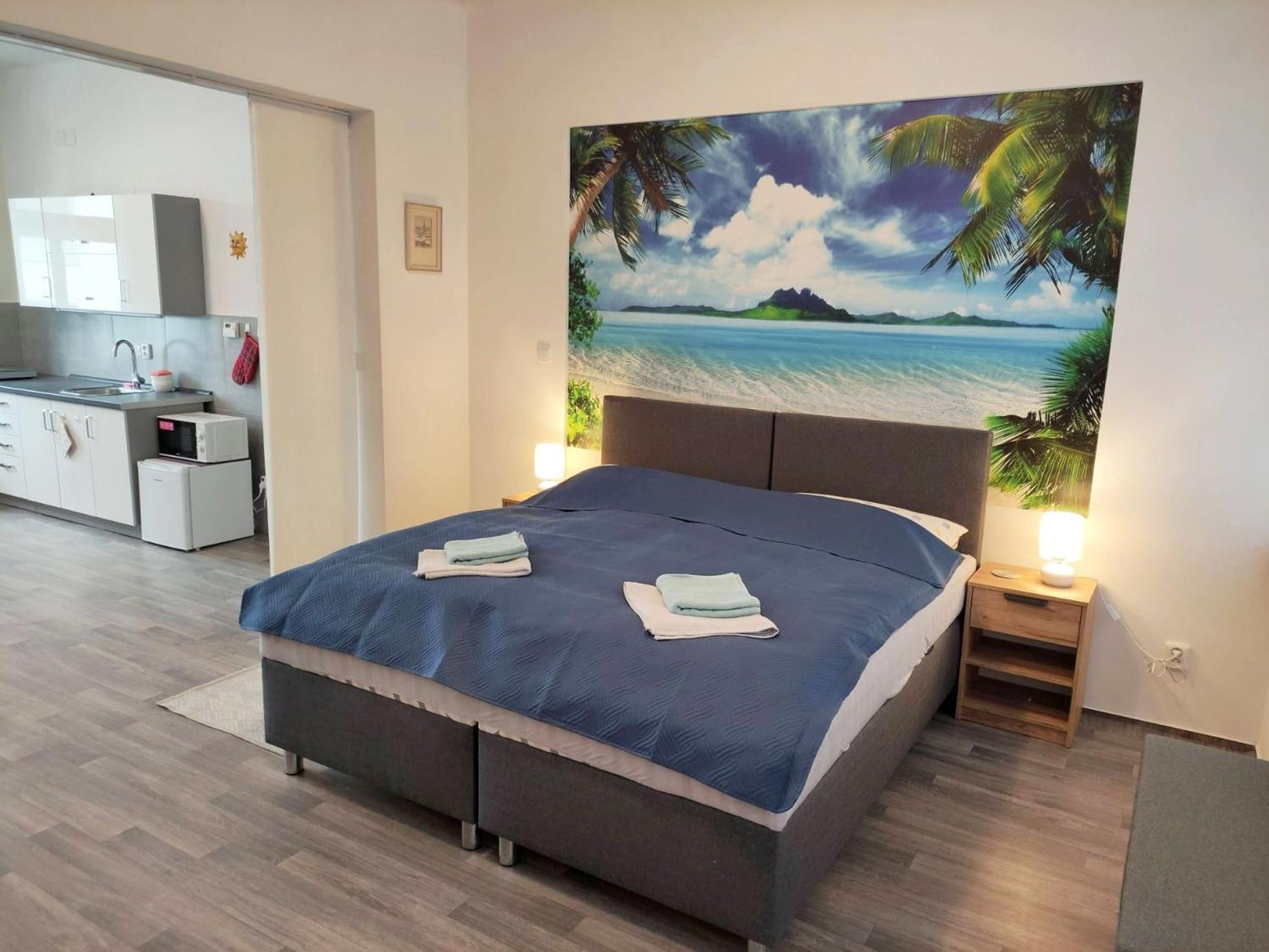 Apartment Juvenis Trebic